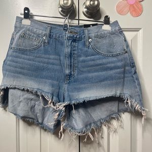 Fashion Nova Denim Shorts